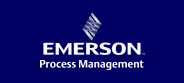 Emerson Process Management logo